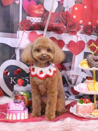 20250215このはちゃん